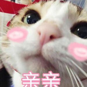 熟女豊崎清香中文字幕所有视频
